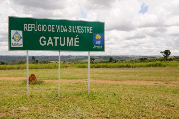 Gatumé