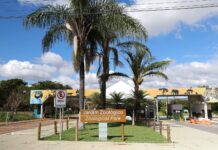 Zoológico de Brasília reabrirá ao público na próxima segunda-feira (7)