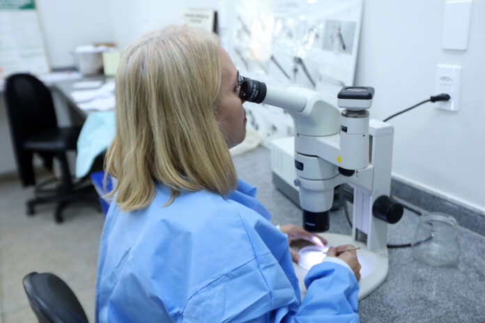 54693907240_ffea80d8c3_o