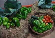 Abertura da 25ª Semana do Pimentão celebra importância do cooperativismo rural