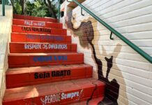 Painel coletivo de grafiteiros do DF dá cara nova à passagem subterrânea da 103/104 Norte