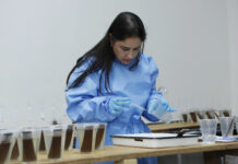 Mosquitos com bactéria para combate à dengue no DF são monitorados